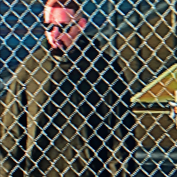 Meet your Posher, Steven - Picture 1 of 1